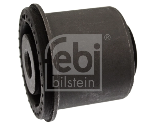 Mounting, control/trailing arm